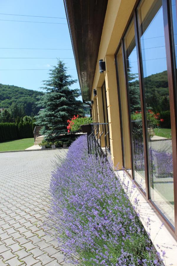 Vila Trapez Săcele Buitenkant foto